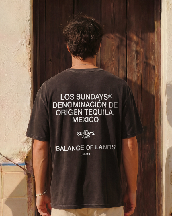 presentation image