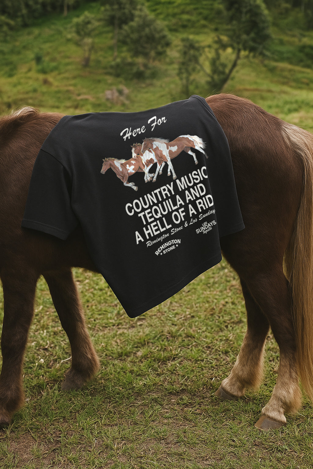 The Hell Of A Ride Tee - Black | Løs Sundays